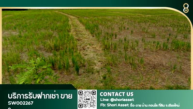 Land for sale Chiang Mai : For Sale : Vacant Land in San Phak Wan, Near Samoeng Intersection, 2 Large Plots-SW002267 