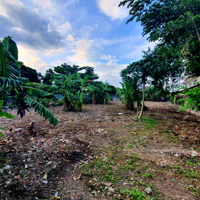 ที่ดิน สนามหลวง : ขาย ที่ดินเปล่า ราชพฤกษ์ ซอย 6 หรือทะลุซอยเพชรเกษม 28 ทำเลดี ใกล้รถไฟฟ้า BTS สถานีบางหว้า