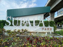 Project Supalai Park Talat Phlu Station Picture - 5/16