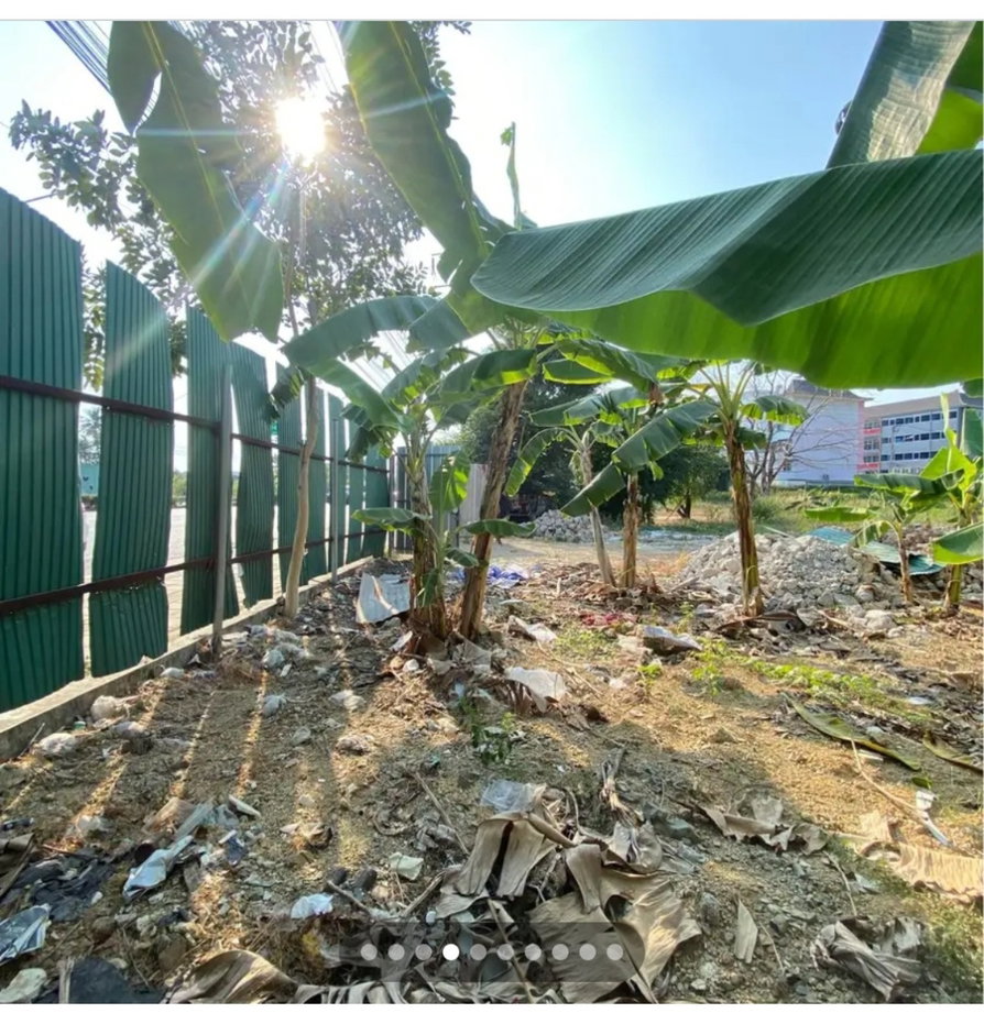 รูป ขาย//เช่า​ ที่ดิน​เปล่า​ ติดถนน​กัลปพฤกษ์​ - รูปที่ 5/8