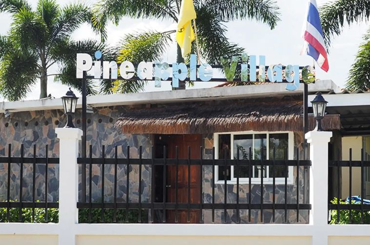 Pineapple Village
