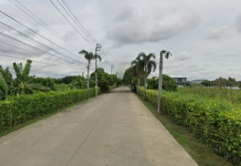 รูป ATOLL MALDIVES PALMS - รูปที่ 2/6