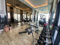 Facility 41