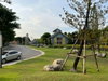 listing thumbnail image 59
