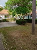 listing thumbnail image 22
