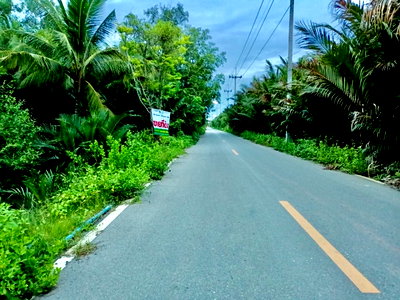 ที่ดิน ดอนหอยหลอด : ขายที่ดินติดริมน้ำ เกือบ 5 ไร่ อำเภอเมือง จังหวัดสมุทรสงคราม