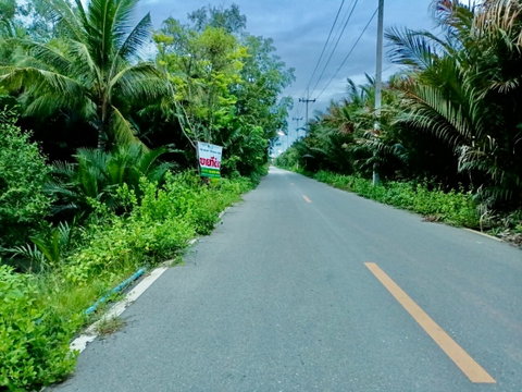 ขายที่ดินติดริมน้ำ เกือบ 5 ไร่ อำเภอเมือง จังหวัดสมุทรสงคราม