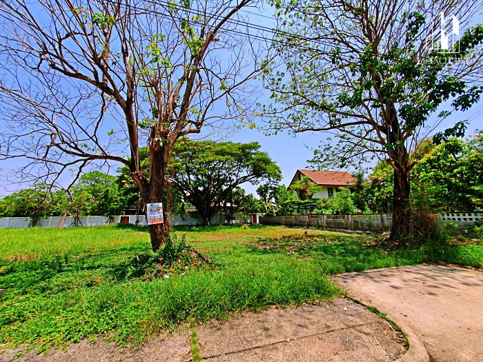 รูป ขายที่ดิน 122 ตร.ว. ม.สารินปาร์ค รังสิต-ธัญบุรี คลอง 5 แปลงสวย - รูปที่ 3/5