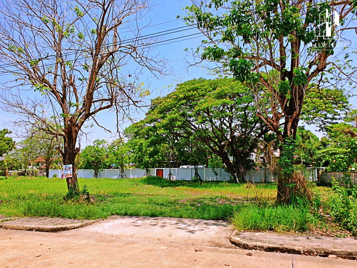 รูป ขายที่ดิน 122 ตร.ว. ม.สารินปาร์ค รังสิต-ธัญบุรี คลอง 5 แปลงสวย - รูปที่ 2/5