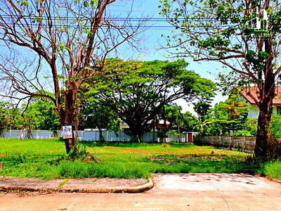 Land for sale : Land for Sale: 122 sq.w. at Sarin Park, Rangsit-Thanyaburi, Klong 5, Beautiful Plot