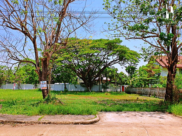รูป ขายที่ดิน 122 ตร.ว. ม.สารินปาร์ค รังสิต-ธัญบุรี คลอง 5 แปลงสวย - รูปที่ 1/5