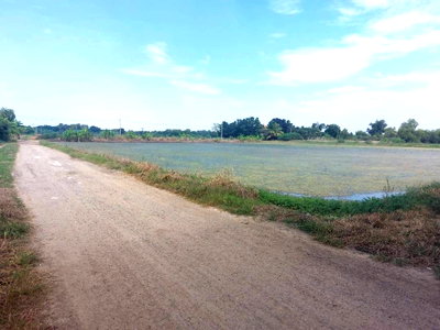 Land for sale Kantana Institte : Land for sale, 398 square wah, Phutthamonthon, Nakhon Pathom. Good price.