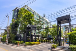 รูป The Log 3 - รูปที่ 2/24