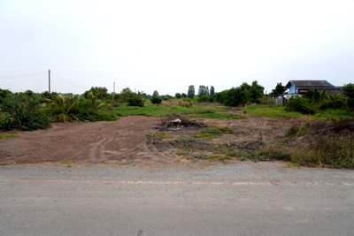 Land for sale Bang Sai Phra Nakhon Sri Ayutthaya : For Sale: Beautiful Land at the Cheapest Price Land size: 9 rai 84.2 square wah Non-flooded area, located on an asphalt road in Bang Sai, Ayutthaya.