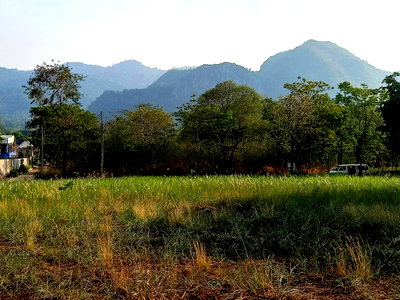 ที่ดิน นครราชสีมา (โคราช) : ขายที่ดินติดเขา เขาใหญ่ หมูสี วิวเขาสวยมาก 360ตร.ว ใกล้ Provence วิวเขาหน้าหลัง กุดคล้าผ่านศึก ใกล้ธนะรัชต์ 1.4 กม. ใกล้อุทยานแห่งชาติ 0879074045