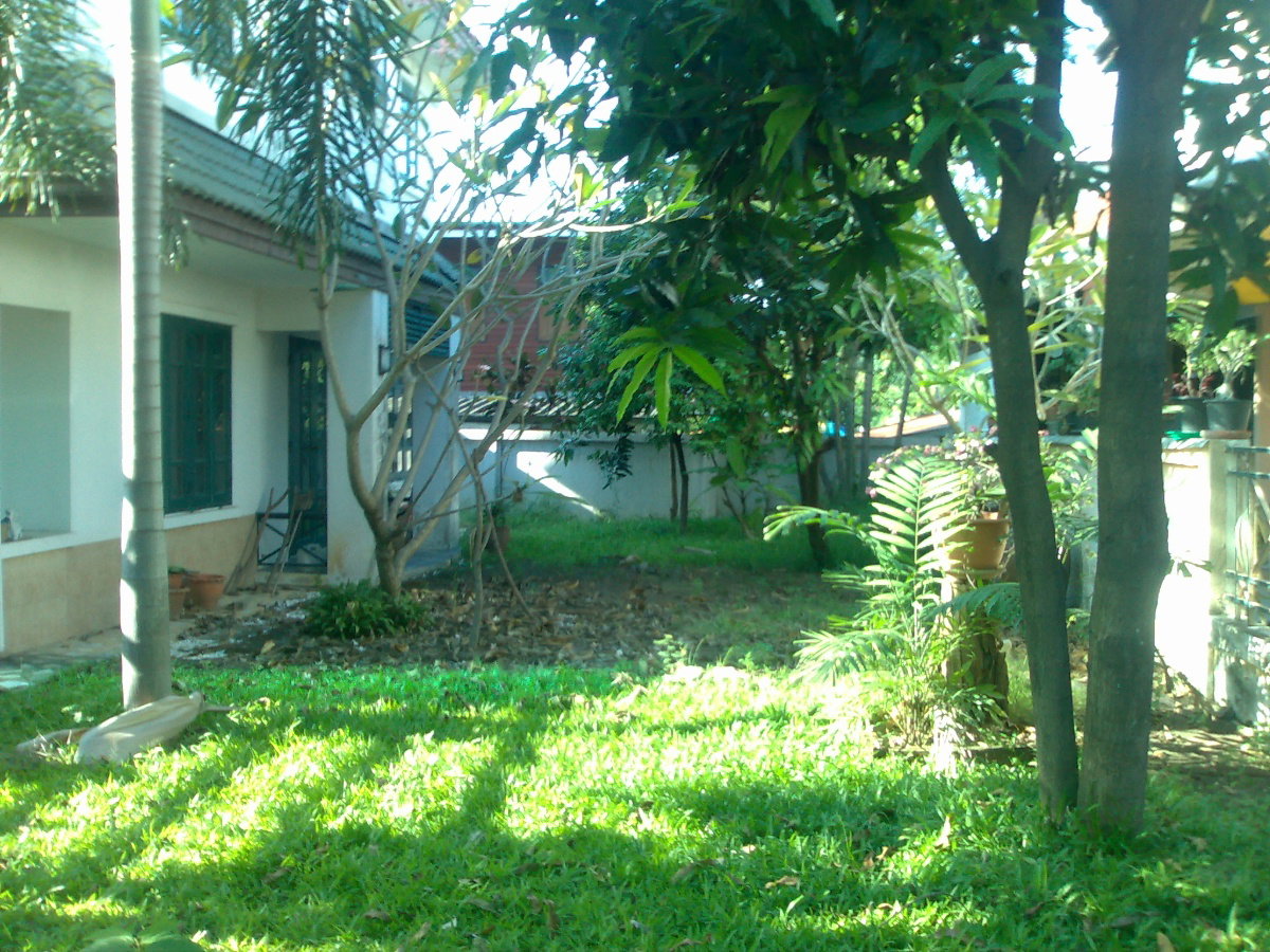 รูป ขายบ้านเดี่ยว หมู่บ้านดิเอมเมอรัลด์พาร์ค 2 บางบัวทอง - รูปที่ 2/4