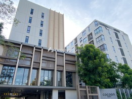 Project COCOON RAMA 9 Picture - 5/13
