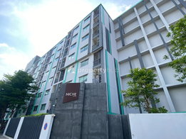 รูป Niche id Serithai - Wongwoen - รูปที่ 2/16