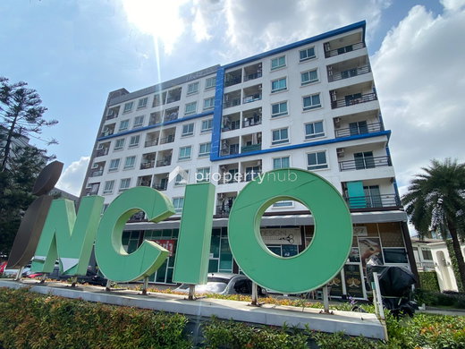 Project Incio Picture - 1/21