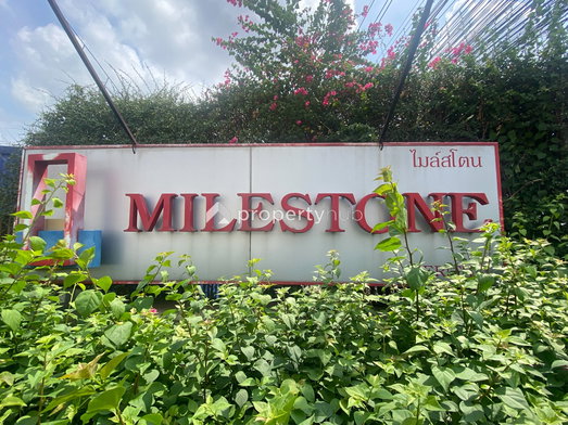 Project MileStone @ Serithai Picture - 4/11