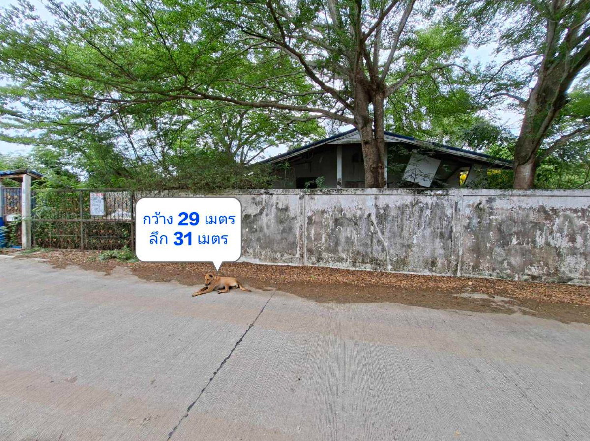 รูป ขายถูกที่ดินคลอง6 รังสิต นครนายก 300 ตรว. ใกล้ ม.เทคโนโลยีฯธัญบุรี - รูปที่ 1/7