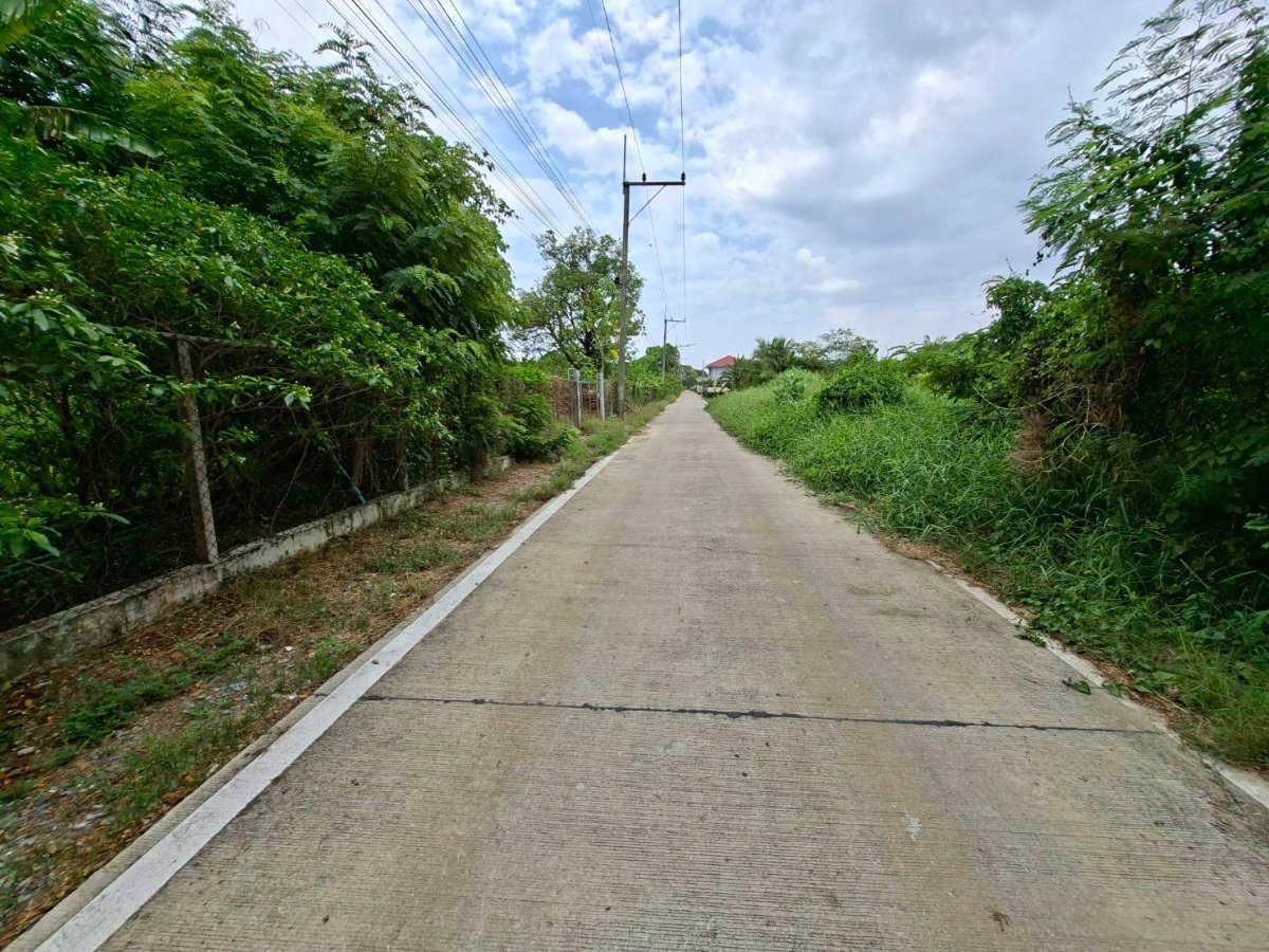 รูป ขายถูกที่ดินคลอง6 รังสิต นครนายก 300 ตรว. ใกล้ ม.เทคโนโลยีฯธัญบุรี - รูปที่ 4/7