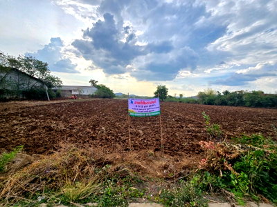 Land for sale : For Sale: Land 5 Rai 3 Ngan 45 Sq.Wah Location:  Nong Phai District . This is a prime location with great potential for the future.