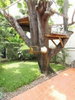 listing thumbnail image 19