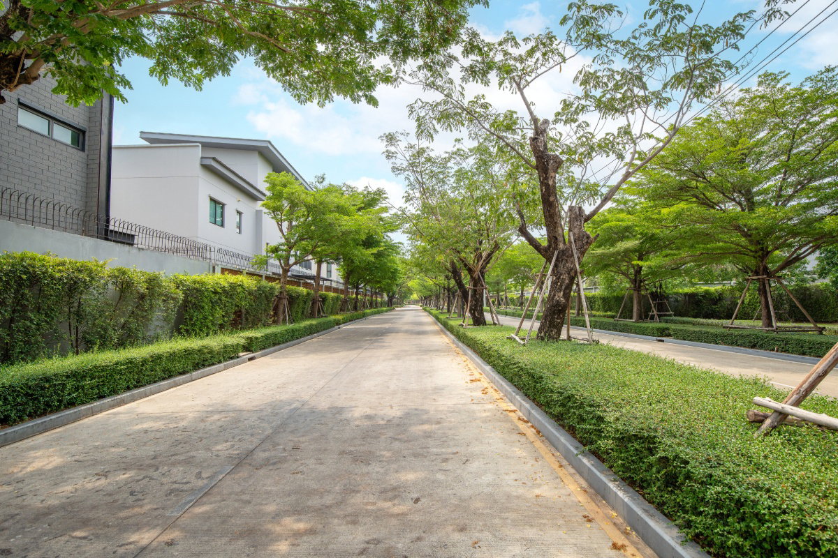 รูป [เช่า] ให้เช่าบ้านหรูหลังมุม โครงการ Venue พระราม 9 วิวสระว่ายน้ำ เดินถึงคลับเฮ้าส์! - รูปที่ 65/65