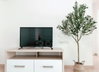 listing thumbnail image 2