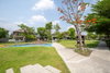 listing thumbnail image 63