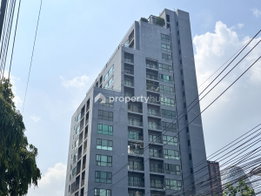 รูป Noble Reflex - รูปที่ 2/12