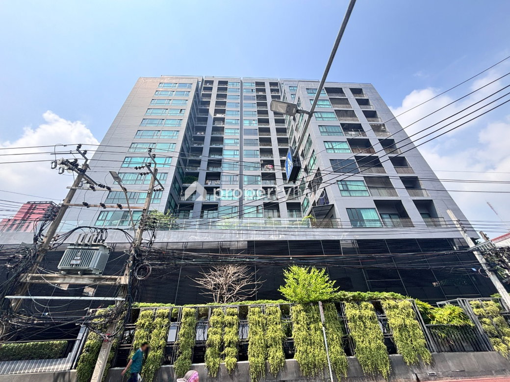 รูป Noble Reflex - รูปที่ 1/12