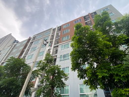 Project Hallmark Chaengwattana Picture - 3/17