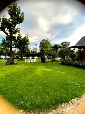 Land for sale Chiang Mai : For Sale: 35 Rai of Land with Buildings in a Natural Setting - Prime Location in Doi Saket, Chiang Mai