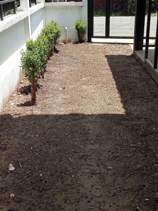 รูป ให้เช่า บ้านในโครงการ ใจแก้วเอราวัณ 23 ใกล้โรงเรียนวารี เชียงใหม่-RW006286 - รูปที่ 6/25