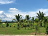listing thumbnail image 23