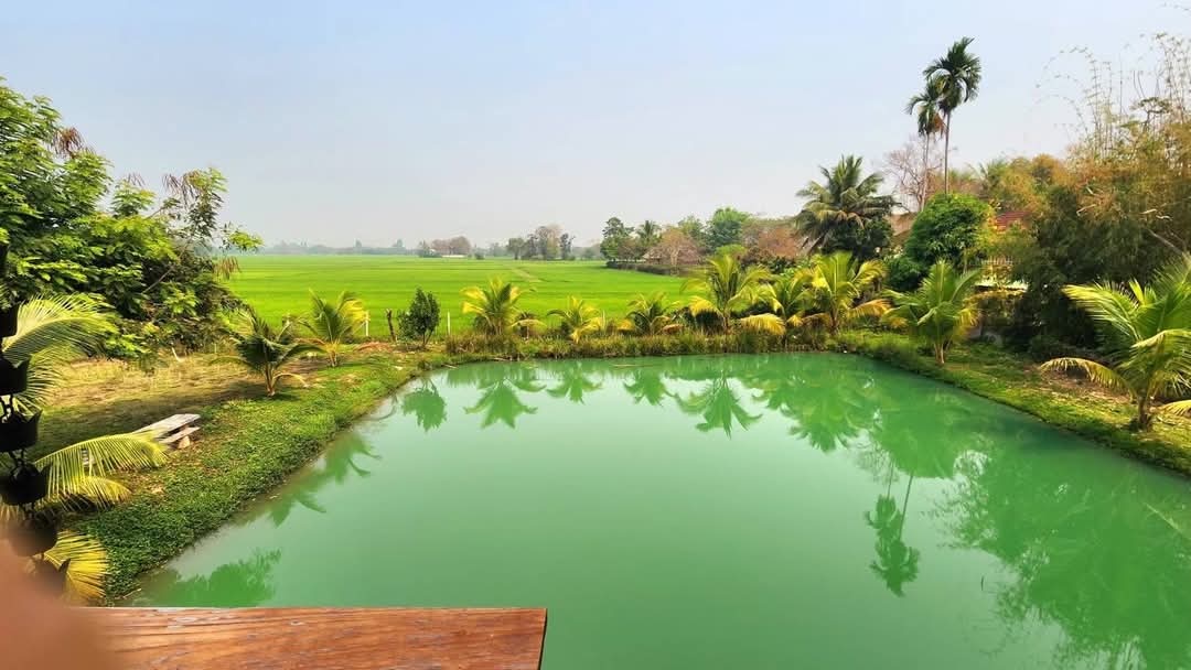 picture House Resort Style For rent! Doisaket Chiangmai  - 13/24