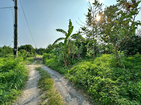 ขายที่ดินเปล่า โซนห้วยกะปิ แปลงสวย ราคาถูก ใกล้แหล่งท่องเที่ยว ชลบุรี 