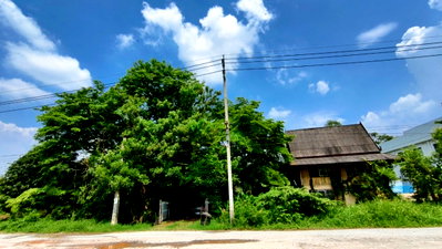 Land for sale : Land for Sale: 1 Rai 1 Ngan 96 Square Wah of Vacant Land, located in Soi Sinkaset, Bang Kruai–Sai Noi Road, Nonthaburi Province.