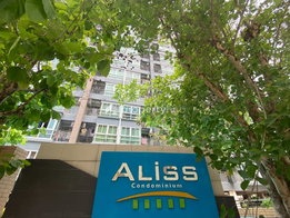 รูป Aliss Tiwanon - รูปที่ 4/15