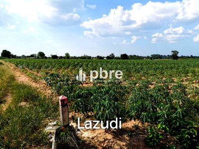 Land for sale Chonburi : Land for sale in Nongmaigan