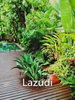 listing thumbnail image 34