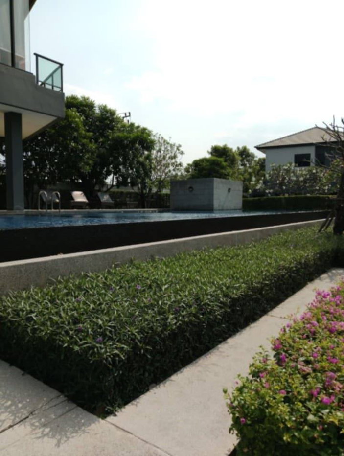 รูป ให้เช่า บ้านสวยมาก Centro รามอินทรา จตุโชติ บ้านมองเห็นสระว่ายน้ำ - รูปที่ 27/32