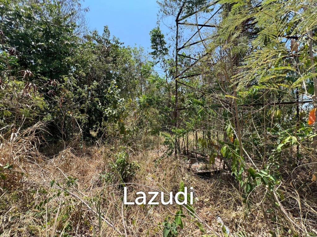 รูป 14 Rai Land Plot On The Main Road Close To Town - รูปที่ 10/11