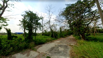 ที่ดิน ลำลูกกา คลองสอง : ขาย ที่ดิน 66 ตร.วา คลอง 8 อ.ธัญบุรี ปทุมธานี แปลงจัดสรร (รังสิตการ์เด้น) ห่างจาก ถ. รังสิต-นครนายก เพียง 750 ม.
