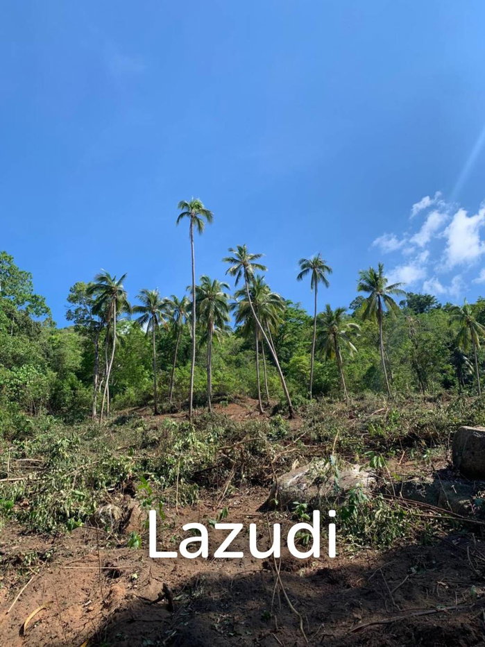 picture Prime Land for Sale 10 Rai in Hin Lat, Ko Samui - 3/5