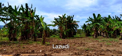Land for sale Chonburi : Beautiful Land for Sale in Bang Saray