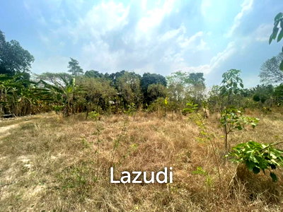 Land for sale Lieb Tang Rodfai : 6Rai Land for Sale in Khao Ma Kok