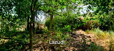 Land for sale Chonburi : Beautiful 1.5 Rai Land for Sale